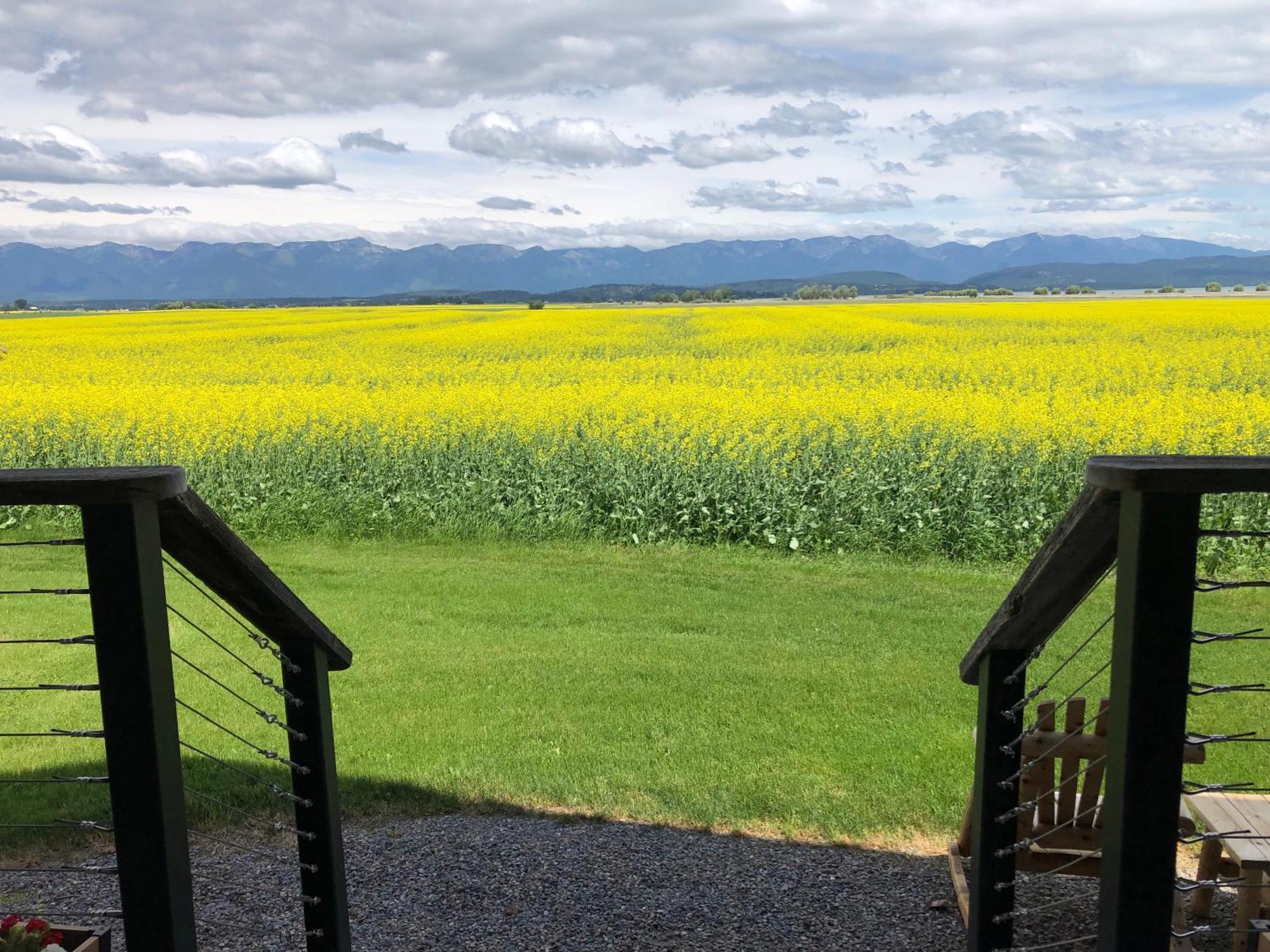 New Cabin With Spectacular Views Of Flathead Lake. Somers エクステリア 写真